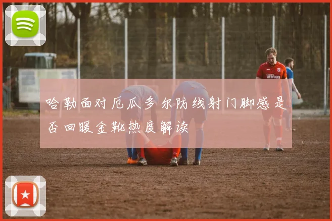 哈勒面对厄瓜多尔防线射门脚感是否回暖金靴热度解读